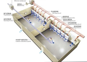 盤錦實驗室設計規劃：創新科學研究空間的關鍵要素